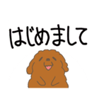 ゆるい犬スタンプ（個別スタンプ：13）