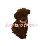 こむぎ！（個別スタンプ：7）