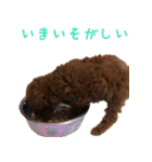 こむぎ！（個別スタンプ：10）