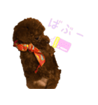 こむぎ！（個別スタンプ：15）
