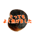 焦げパンコレクション（個別スタンプ：23）