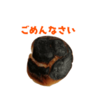 焦げパンコレクション（個別スタンプ：33）