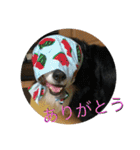 炭水化物3姉弟（個別スタンプ：3）