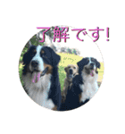 炭水化物3姉弟（個別スタンプ：6）