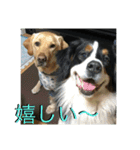 炭水化物3姉弟（個別スタンプ：10）