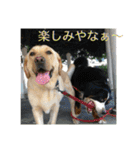 炭水化物3姉弟（個別スタンプ：11）