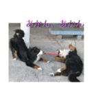 炭水化物3姉弟（個別スタンプ：17）
