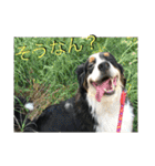 炭水化物3姉弟（個別スタンプ：19）