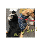 炭水化物3姉弟（個別スタンプ：20）