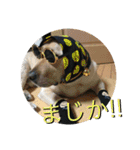 炭水化物3姉弟（個別スタンプ：22）