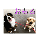炭水化物3姉弟（個別スタンプ：25）