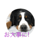 炭水化物3姉弟（個別スタンプ：28）