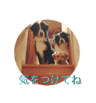 炭水化物3姉弟（個別スタンプ：29）