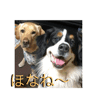 炭水化物3姉弟（個別スタンプ：30）