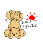 あんずとピヨちゃん時々テニス（個別スタンプ：1）