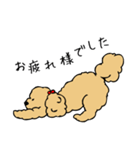 あんずとピヨちゃん時々テニス（個別スタンプ：4）