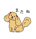 あんずとピヨちゃん時々テニス（個別スタンプ：5）