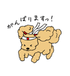 あんずとピヨちゃん時々テニス（個別スタンプ：14）