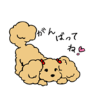 あんずとピヨちゃん時々テニス（個別スタンプ：15）