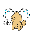 あんずとピヨちゃん時々テニス（個別スタンプ：16）