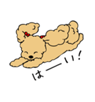 あんずとピヨちゃん時々テニス（個別スタンプ：18）