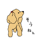 あんずとピヨちゃん時々テニス（個別スタンプ：24）