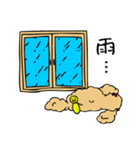 あんずとピヨちゃん時々テニス（個別スタンプ：33）