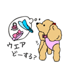 あんずとピヨちゃん時々テニス（個別スタンプ：35）