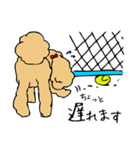 あんずとピヨちゃん時々テニス（個別スタンプ：39）