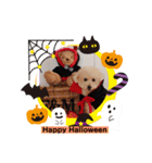 ジャスのハロウィンスタンプ（個別スタンプ：1）