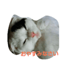 もかジジそら（個別スタンプ：3）
