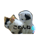 もかジジそら（個別スタンプ：6）