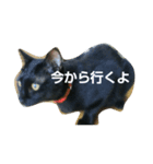 もかジジそら（個別スタンプ：7）
