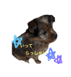 R.stamp.（個別スタンプ：3）