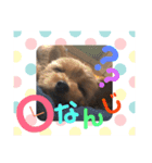 R.stamp.（個別スタンプ：10）