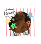 R.stamp.（個別スタンプ：12）