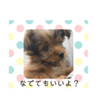 R.stamp.（個別スタンプ：14）