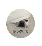 テンノエ2！！（個別スタンプ：3）