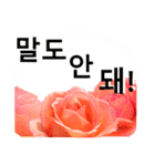 暮らしに花を♪バラ [韓国語]（個別スタンプ：9）