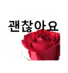 暮らしに花を♪バラ [韓国語]（個別スタンプ：10）
