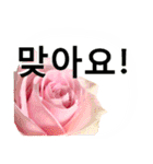 暮らしに花を♪バラ [韓国語]（個別スタンプ：11）