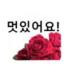 暮らしに花を♪バラ [韓国語]（個別スタンプ：13）