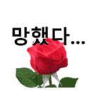 暮らしに花を♪バラ [韓国語]（個別スタンプ：15）