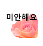 暮らしに花を♪バラ [韓国語]（個別スタンプ：17）