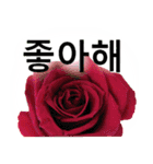 暮らしに花を♪バラ [韓国語]（個別スタンプ：19）