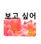 暮らしに花を♪バラ [韓国語]（個別スタンプ：20）