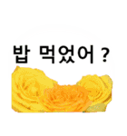暮らしに花を♪バラ [韓国語]（個別スタンプ：23）
