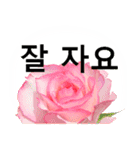 暮らしに花を♪バラ [韓国語]（個別スタンプ：25）