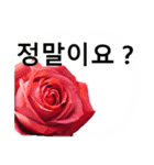 暮らしに花を♪バラ [韓国語]（個別スタンプ：27）