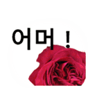 暮らしに花を♪バラ [韓国語]（個別スタンプ：28）